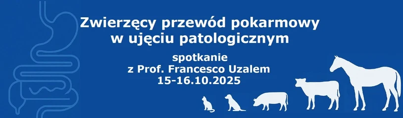 baner konferencji